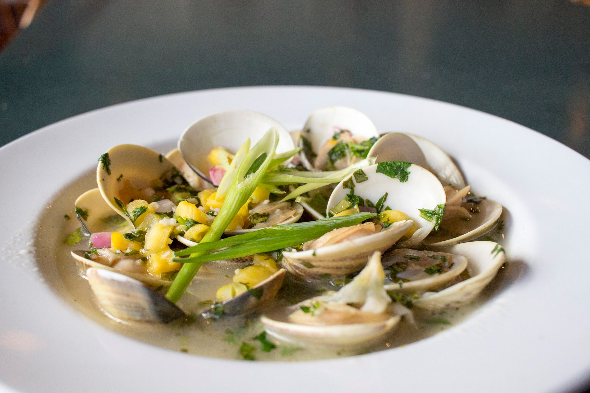 Fresh clam dish garnished with herbs and green onions.